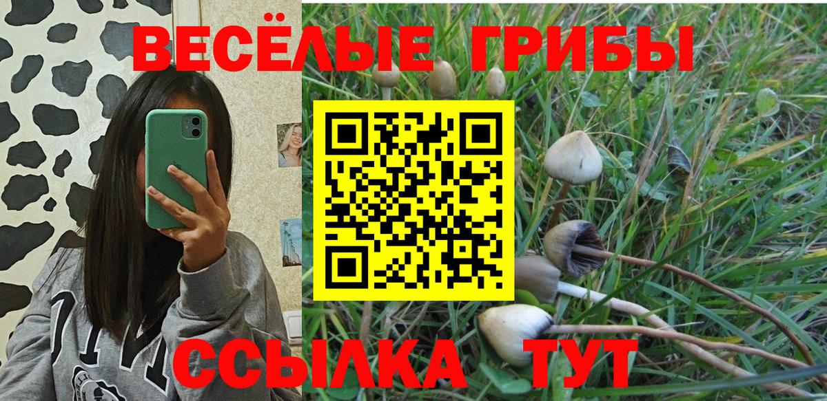 Дербент  Галлюциногенные грибы ЛСД  Галлюциногенные грибы Psilocybine cubensis  купить наркотик  Вход с VPN 
